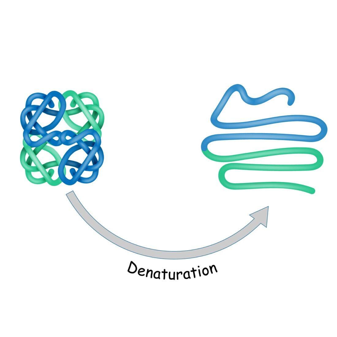Galvanic, Thermolysis and the Blend